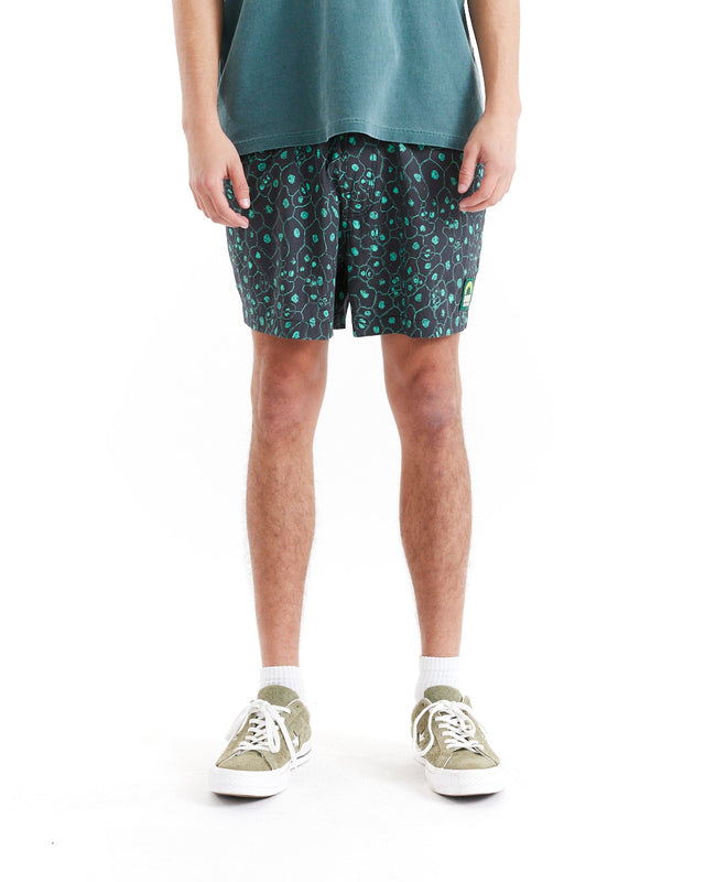 PLANT CELL BOARDSHORT - BISCAY GREEN