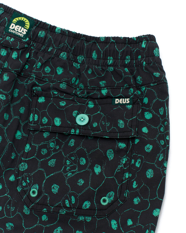 PLANT CELL BOARDSHORT - BISCAY GREEN