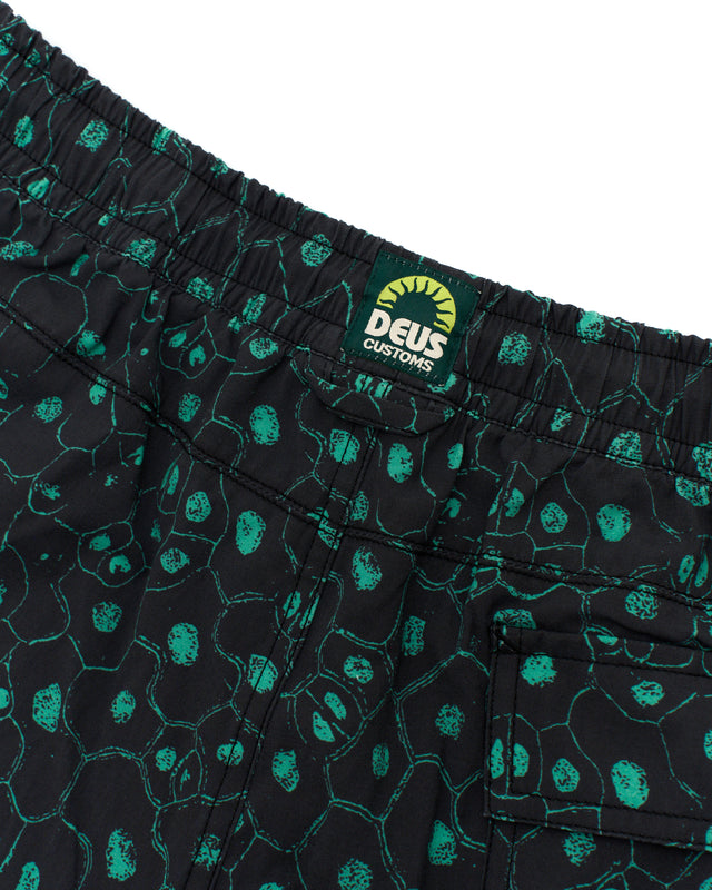 PLANT CELL BOARDSHORT - BISCAY GREEN