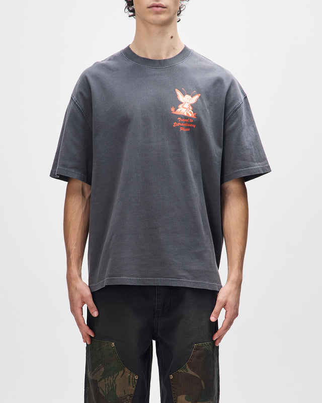 24 HR TEE - ANTHRACITE