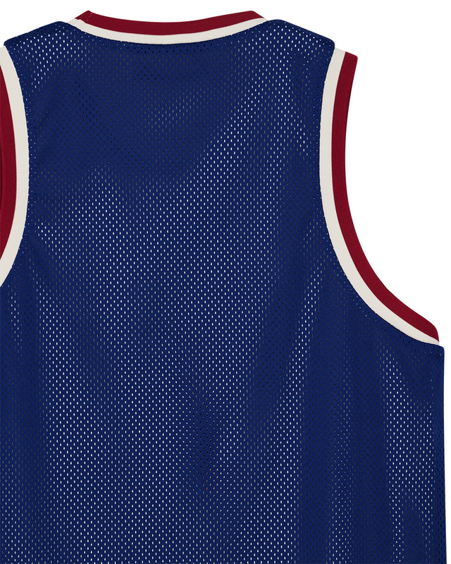 BACK AND FORTH JERSEY - BLUEPRINT SWAN