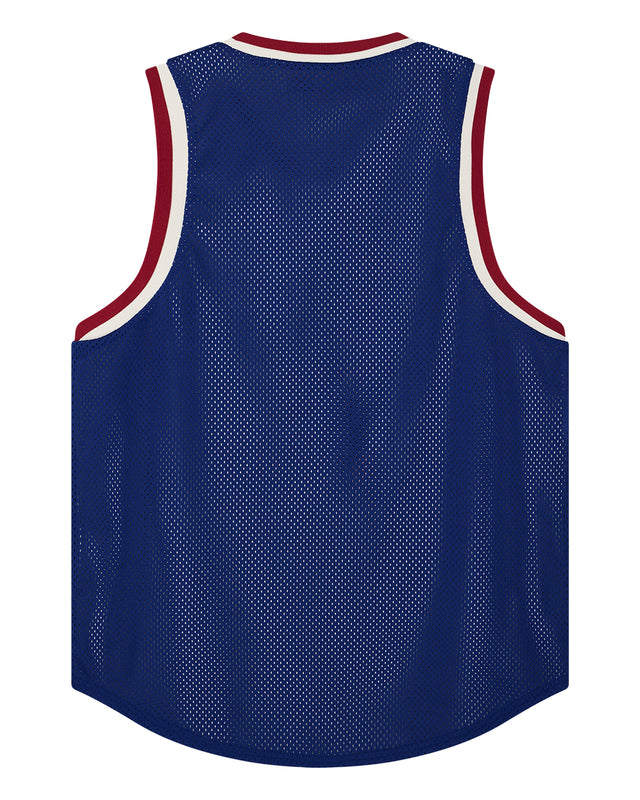 BACK AND FORTH JERSEY - BLUEPRINT SWAN