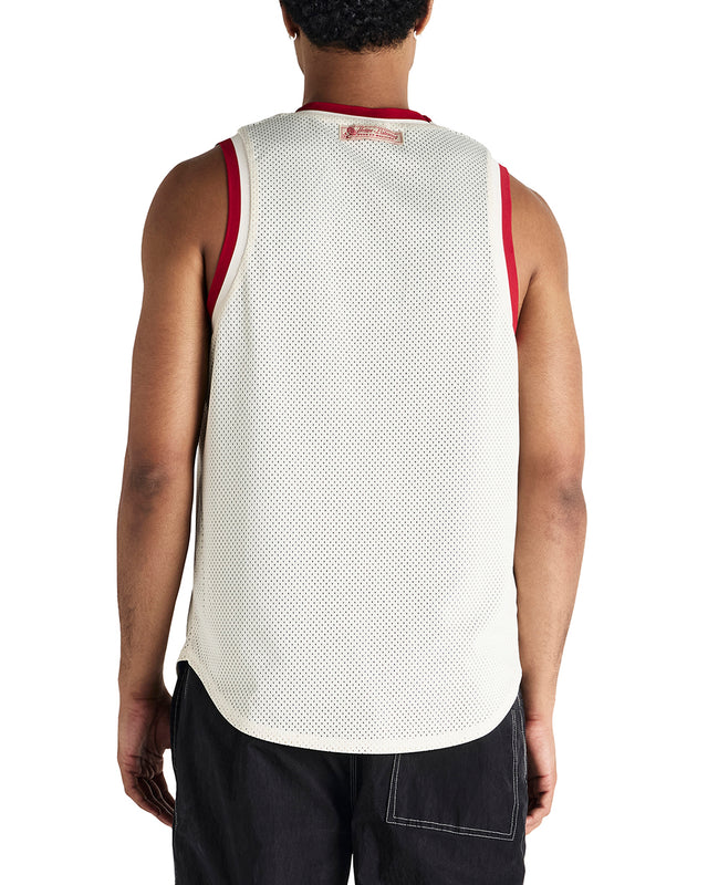 BACK AND FORTH JERSEY - BLUEPRINT SWAN