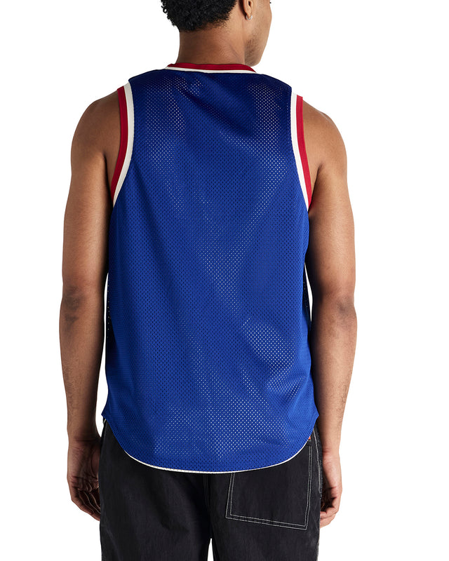 BACK AND FORTH JERSEY - BLUEPRINT SWAN