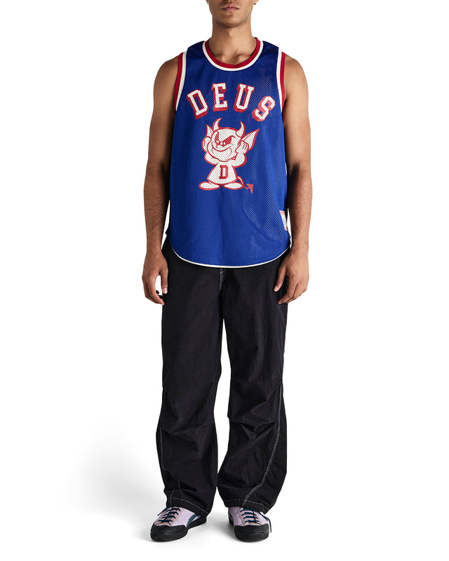 BACK AND FORTH JERSEY - BLUEPRINT SWAN